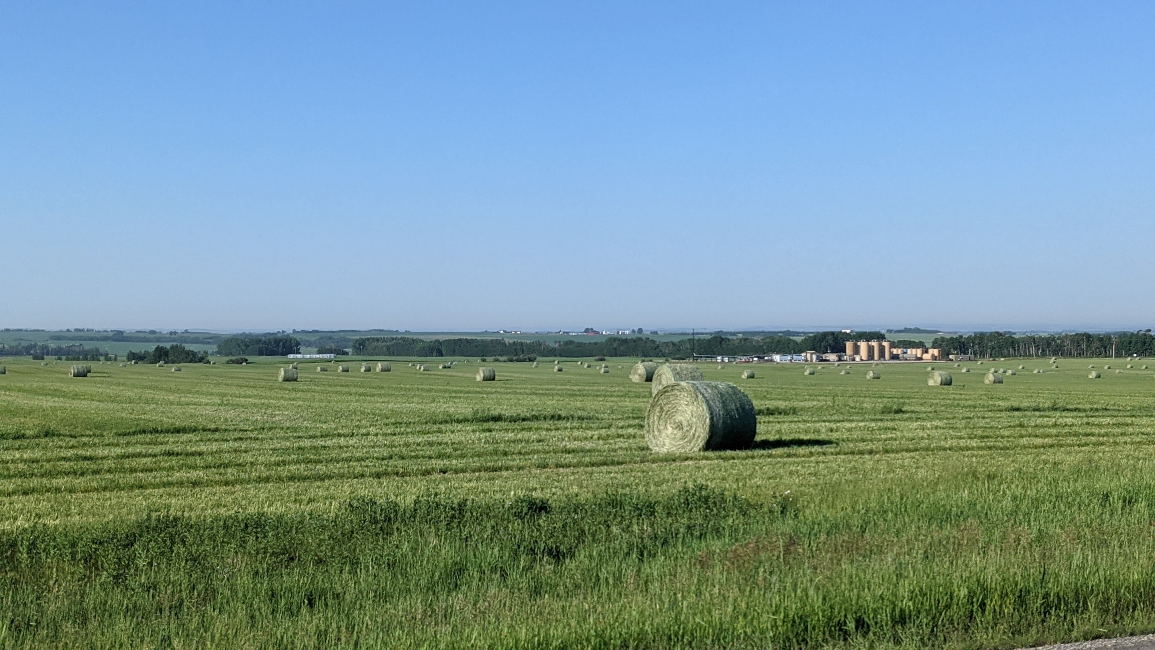 open field in alberta with hay bales
