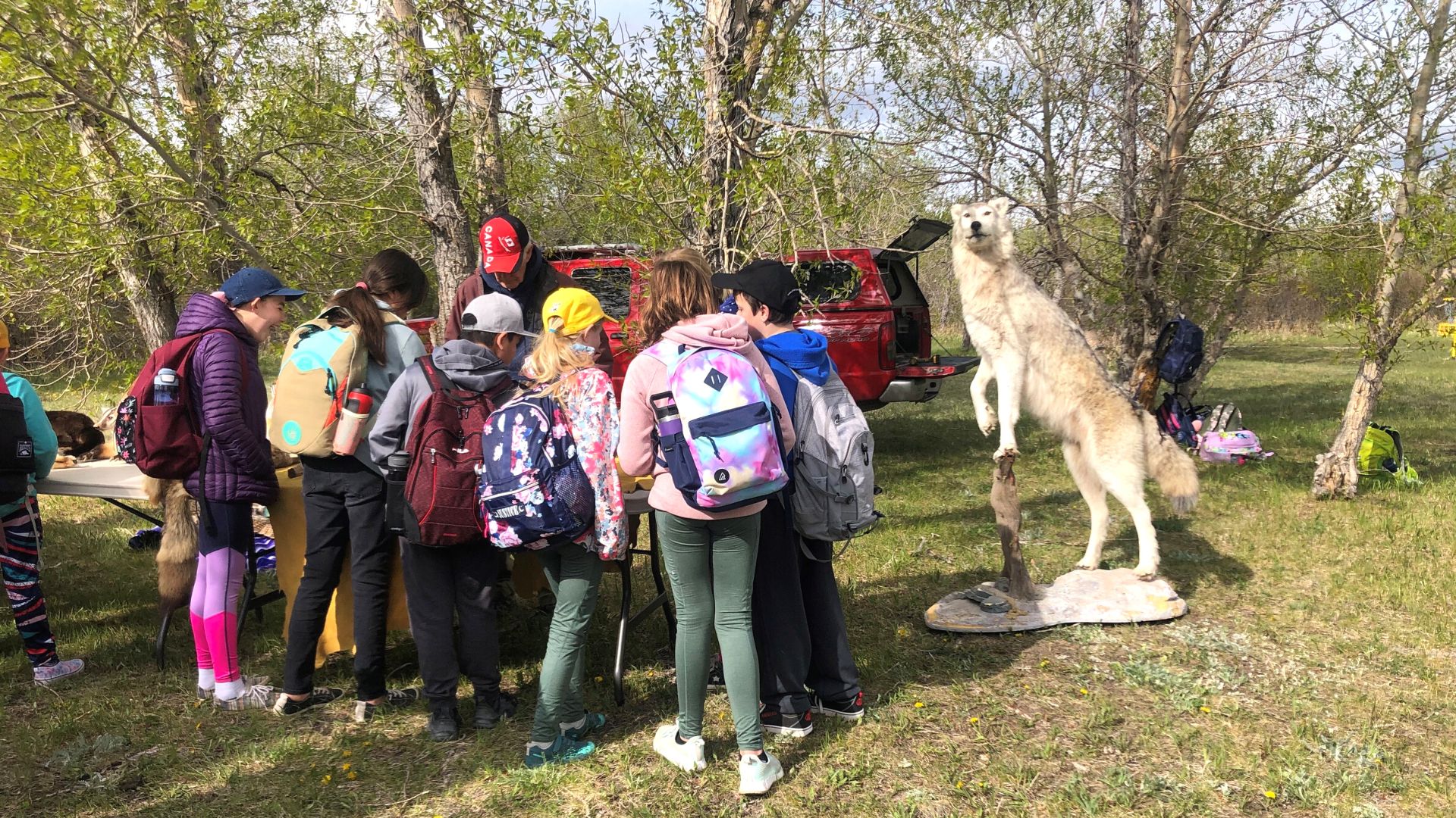 Several children clustered around a teacher or volunteer who is showing them something obscured from view. They are outside by the creek, there is a large taxidermy coyote beside them