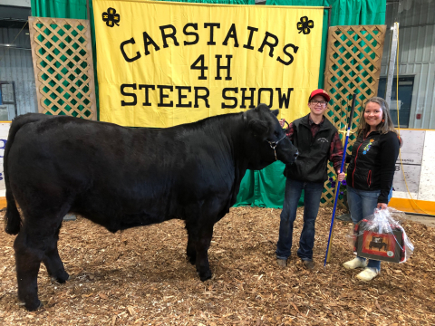 Indigenous Relations Manager Thalia Aspeslet and Rowan standing next to a big black steer in front of a bight Carstairs 4H Steer Show banner. 