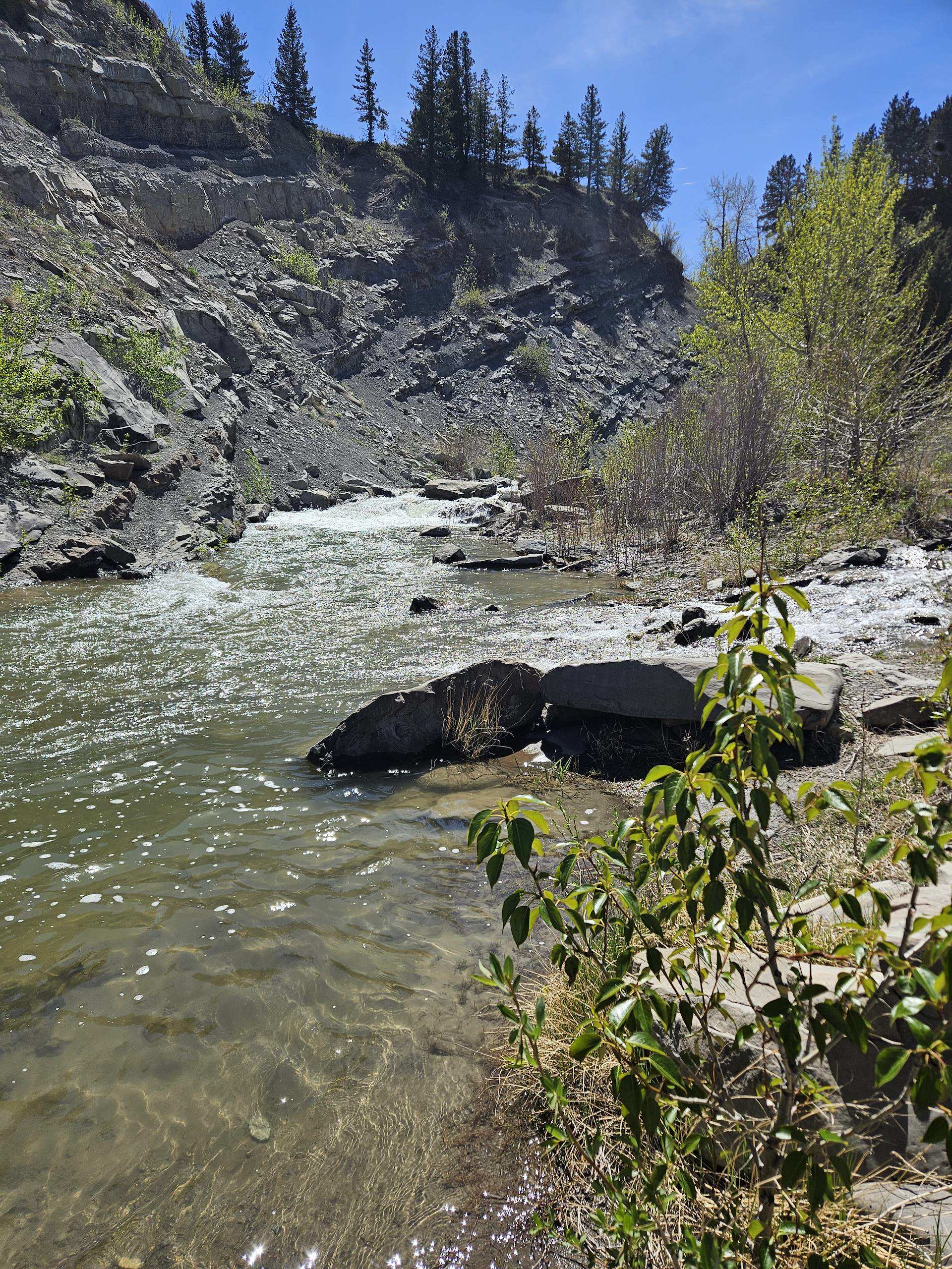 Day on the Creek 2025